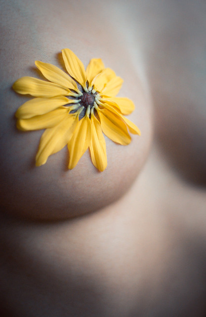 Free the nipple 2