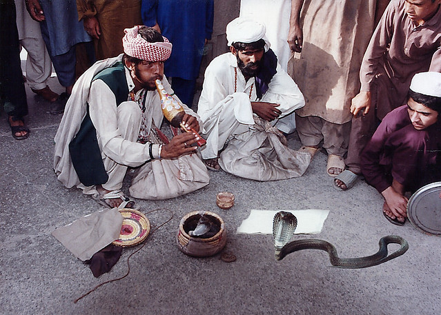 3392 Snake charmers--Rawalpindi , Pakistan