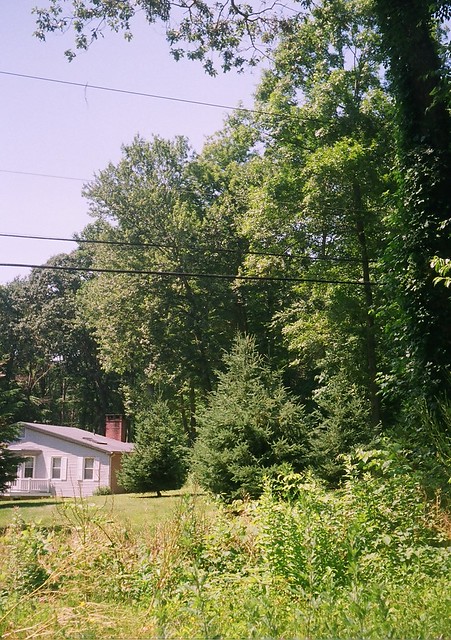 Little House on the Left