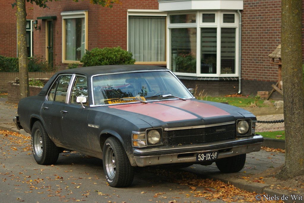 Image of 1976 Buick Skylark