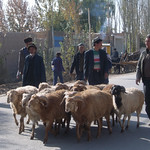 49 Oost Turkestan Mosh