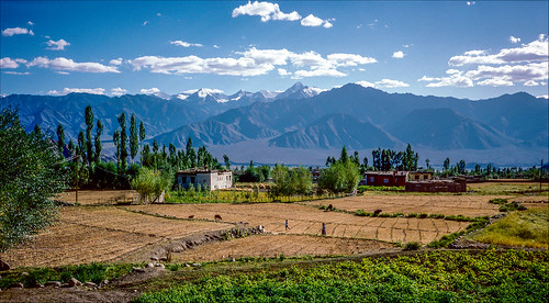 landscapes ladakh india leh film analog kodachrome64 nature 1989 nikonaf3 mountains sky sunshine 35mm plustekopticfilm8200i