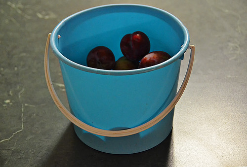 Bucket of Plums | by J Allan-1