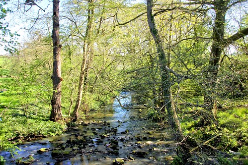 nature countryside spring stream yorkshire ripley hdr northyorkshire waterscape ripleycastle