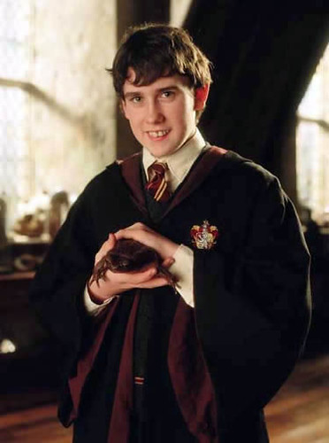 Neville Longbottom (Harry Potter)