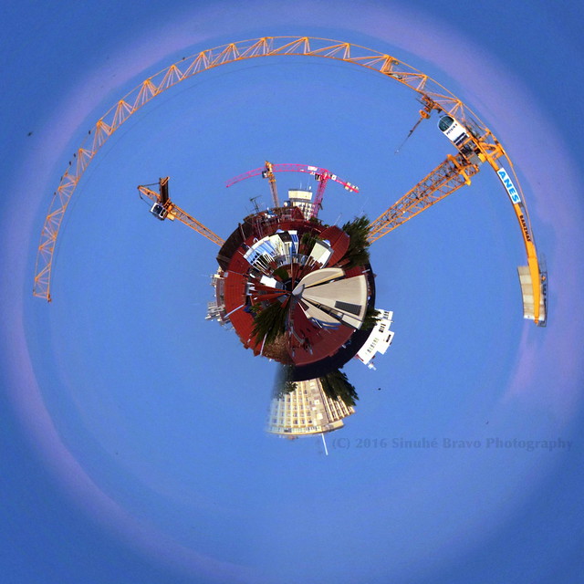 182/366 - Planet of the cranes...