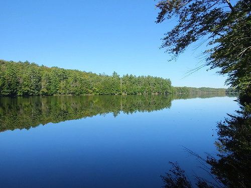 pictures new trip travel trees light summer sky usa lake color reflection tree nature water forest reflections landscape geotagged arbol photography us photo pond woods day waterfront image photos live maine picture images clear photograph digitalcamera exploration albero arbre mori mizu photooftheday picoftheday leau ellago chesterville greatphotographers fugifilm laforêt elagua mizuumi norcrosspond daswasser dailynaturetnc12 rong58 finepixhs50exr