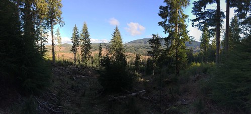 oregon forestry logging godsvalley rectorridge