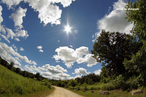 park trees summer sky sun sunshine weather clouds forest quote path meadow fisheye trail belvidere thegalaxy lovelyweather spencerbelviderepark