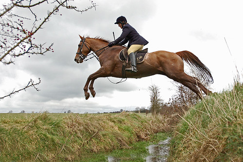 Hunt Cup 2014 -- Mairead leading the way. | by John Heney