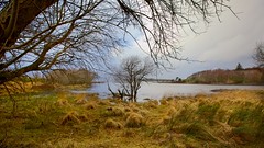 Muckross Lake