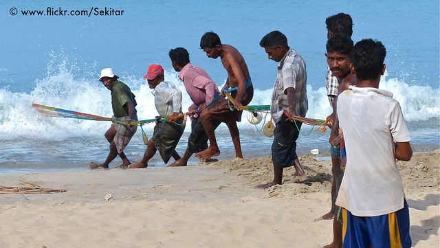 Teamwork! Fishing at Uppuveli Beach, Trincomalee, Sri Lanka