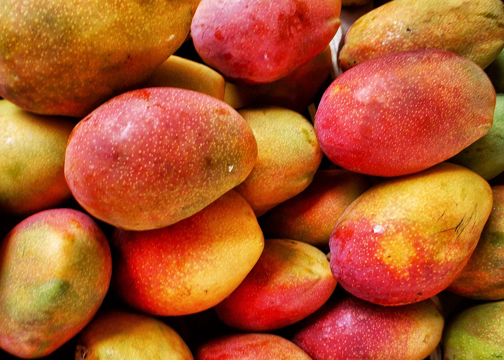 Mango - Mangue | &amp;quot;The mango is a fleshy stone fruit belongin… | Flickr