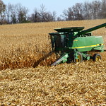 2014-10-25T21_19_12 corn harvest in Minnesota, USA
Maisernte in Minnesota, USA