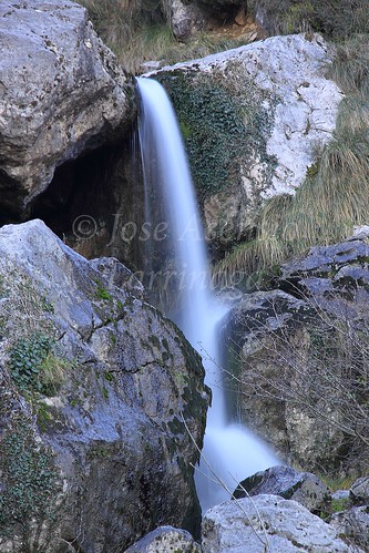 Parque Natural de Gorbeia #DePaseoConLarri    #Photography 3369