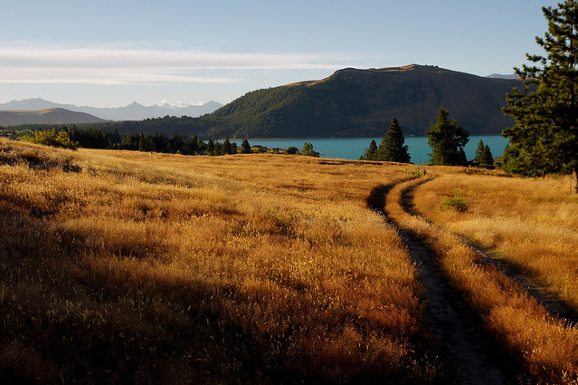 Lake Tekapo Landscape.NZ
