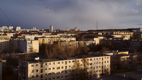 city houses roof sky urban cloud bird buildings evening flying view russia widescreen seagull gull horizon overcast roofs 169 petrozavodsk