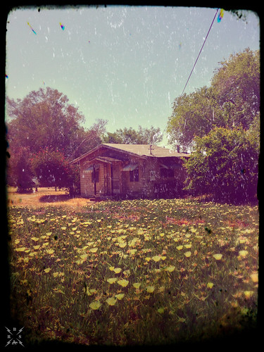 pictures flowers plants house art abandoned home beautiful landscape photography trashed blackriderstudios
