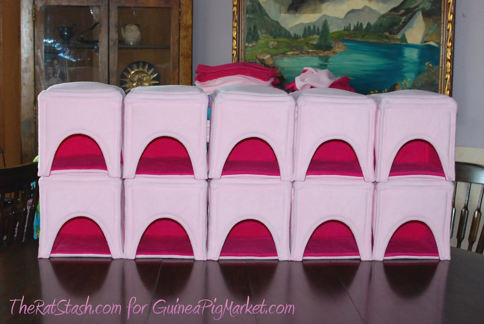 For GuineaPigMarket.com: Baby Pink Corner Cabins. Find them here: http://www.guineapigmarket.com/corner-cabin#.UhViZT9nA7g