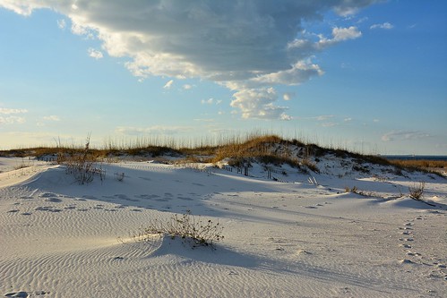 sunset usa grass fence sand nikon florida dunes pensacolabeach d7100 pwpartlycloudy