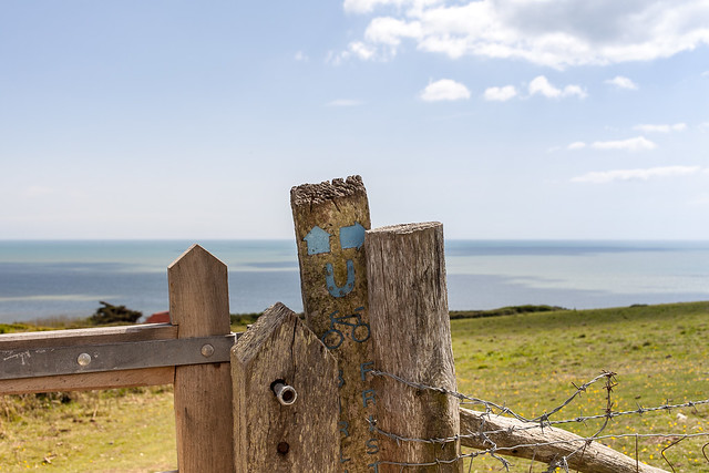 where even fence posts are happy to be near the sea