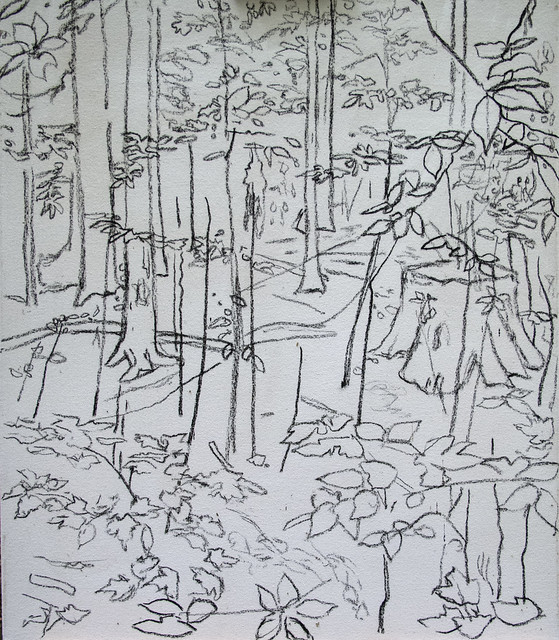 Drawing for woodland painting.