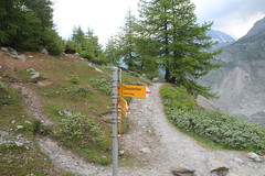 Aletsch 2.07.2013