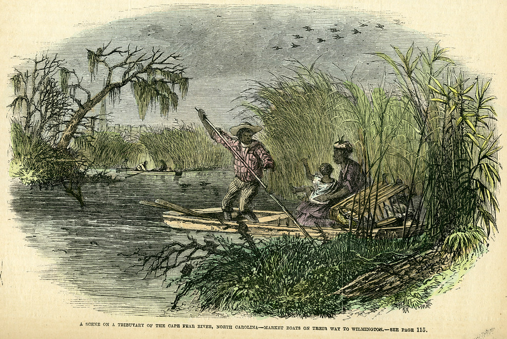 OP_12 A Scene on a Tributary on the Cape Fear River (color… | Flickr