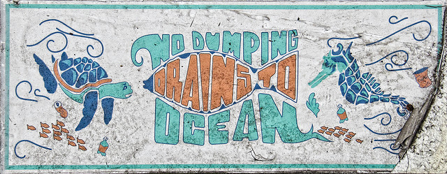 No Dumping Drains to Ocean