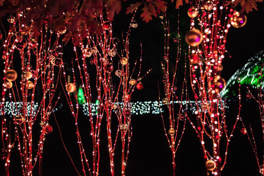 Garden Glow Forest Gardenglow2015 Mobot Stlouis Nikon Flickr