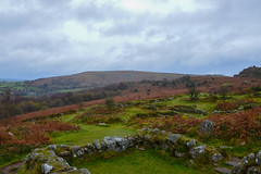 Hound Tor - Dartmoor