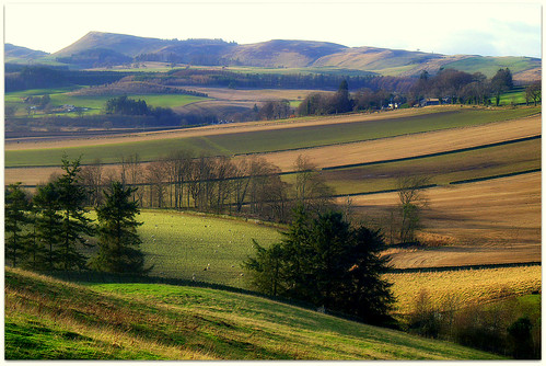 winter walking scotland landscapes dundee hills sidlaw sunrays5 ericrobbniven pentaxk50