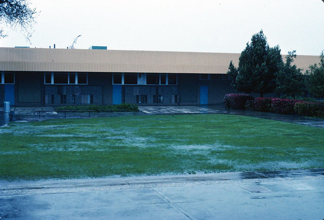 Leland High School - Rainy Day (2)