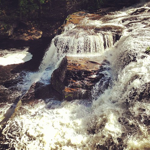 #shohola #falls #pa #water #hike by Thomas Beckner, square squareformat earlybird iphoneography instagramapp uploaded:by=instagram foursquare:venue=4c5e