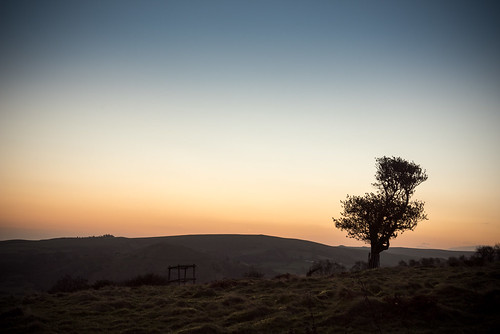 morning tree silhouette sunrise landscape dawn countryside shropshire holly hills stiperstones