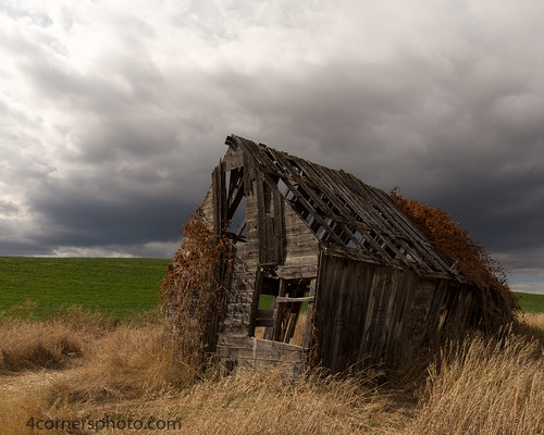 4cornersphoto abandoned agriculture autumn barn bonnevillecounty building clouds color fall farm hay idaho ivy northamerica roof rural sky structure swanvalley thunderstorm unitedstates vegetation weather us