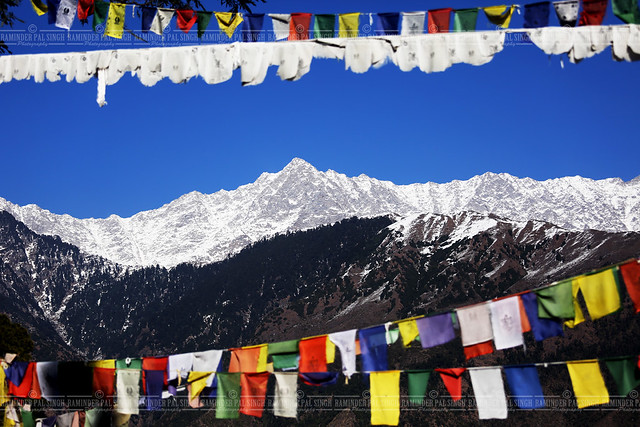 Dhauladhar mountains with Tibetan prayer flags