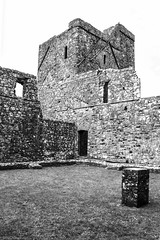 Fore Abbey_13_tower