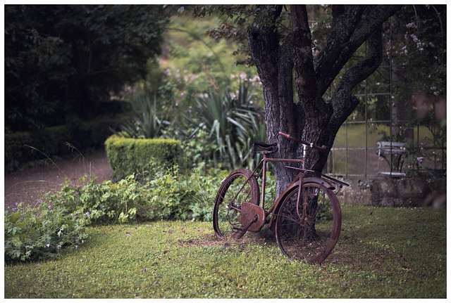 The rusty bicycle