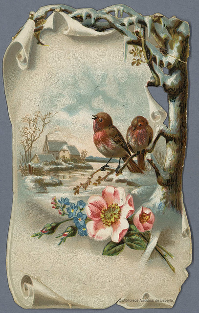 Tarjetas y prospectos de productos y establecimientos comerciales. Aves (1880 - 1900)