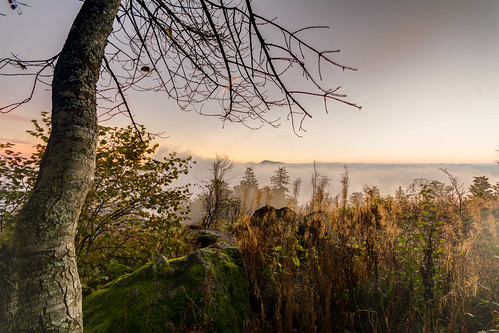 deutschland nikon nebel fusion sonnenaufgang schwarzwald hdr blauen badenwürttemberg belchen schliengen hochblauen d7100 aufnahmearten