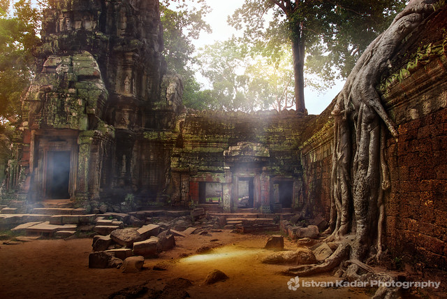 Serene Sanctuary - Ta Prohm Temple