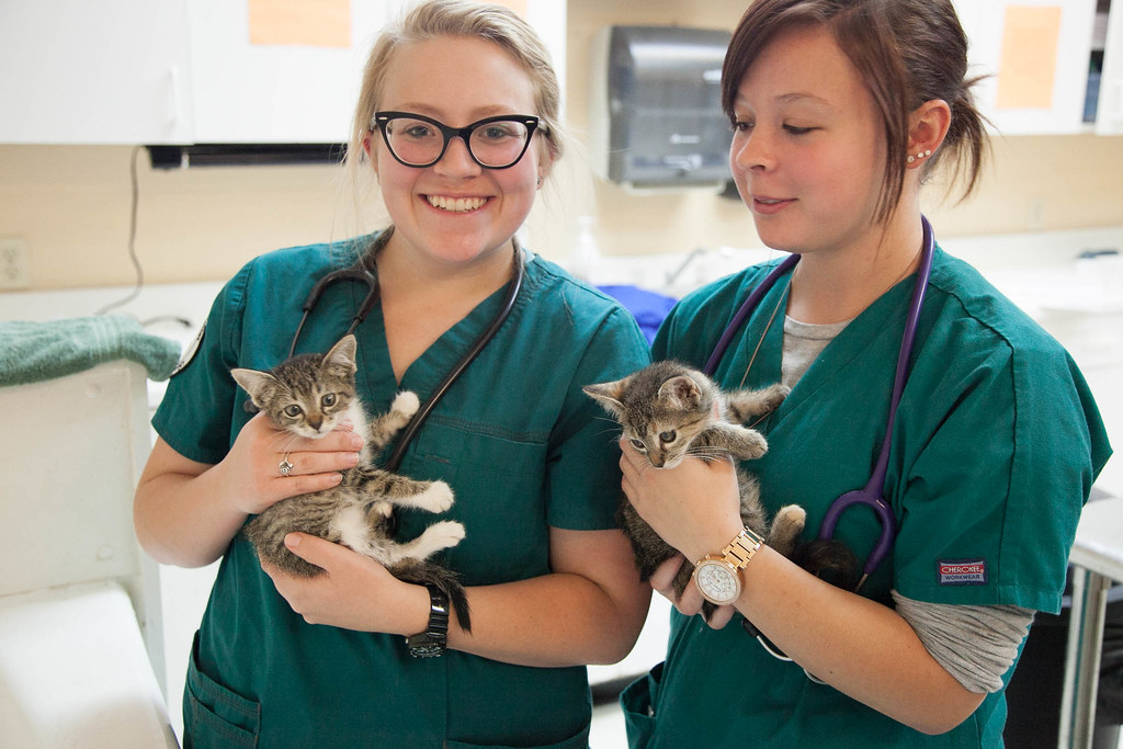 Austin Community College Vet Tech Program | Veterinary Tech … | Flickr