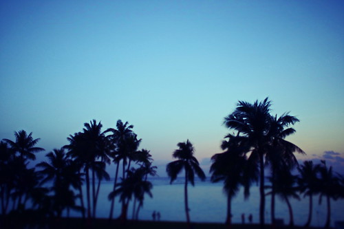 sunset people tree beach silhouette out focus palmtree split vignette tone guam tumon imnothere0