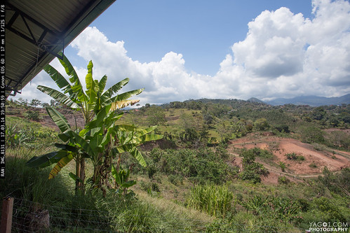 landscape costarica