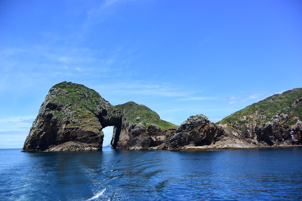 what to do in the bay of islands