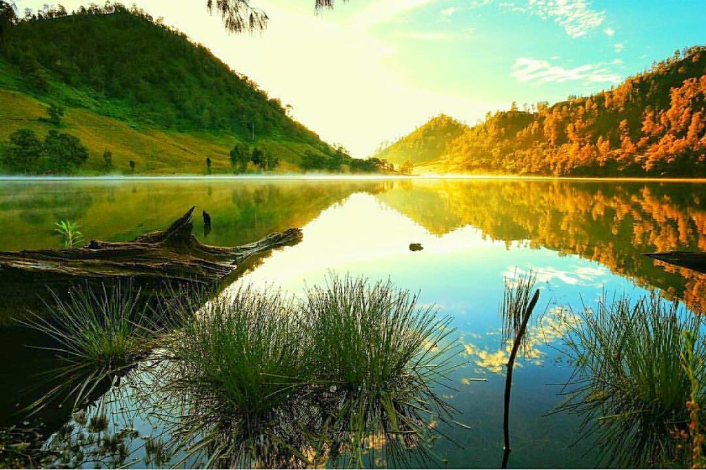 Flickr Ranu Ranu Kumbolo, Bromo Tengger Semeru National Park, East Jav… | Flickr