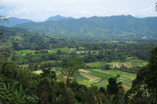 sumatra indonesia champs montagnes sumaterabaratsumbarwestsumatra
