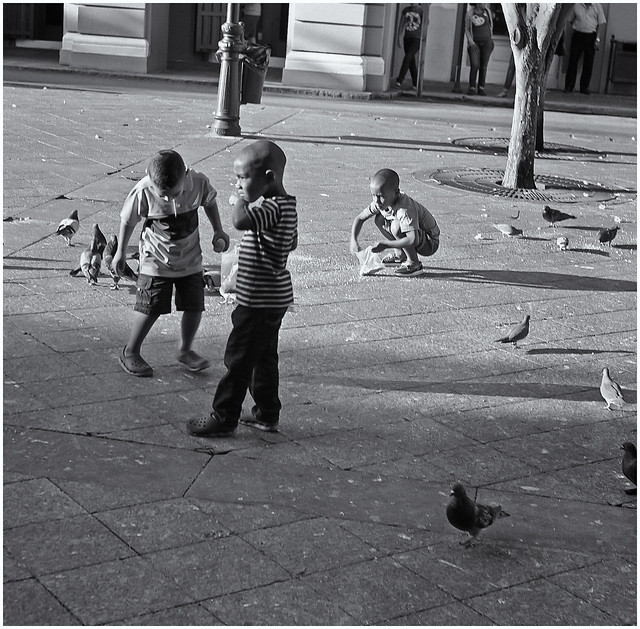 Niños Jugando en Plaza De Armas (Children Playing in Plaza De Armas)