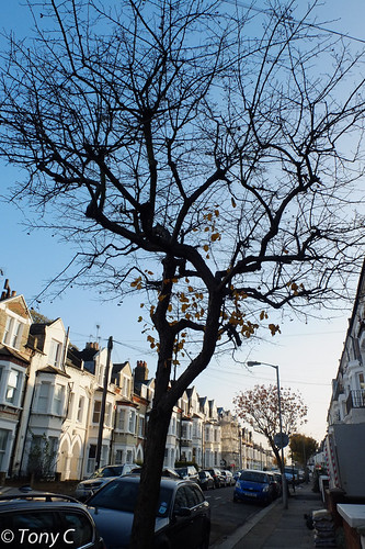 SW11 Leathwaite Road | by C Tony